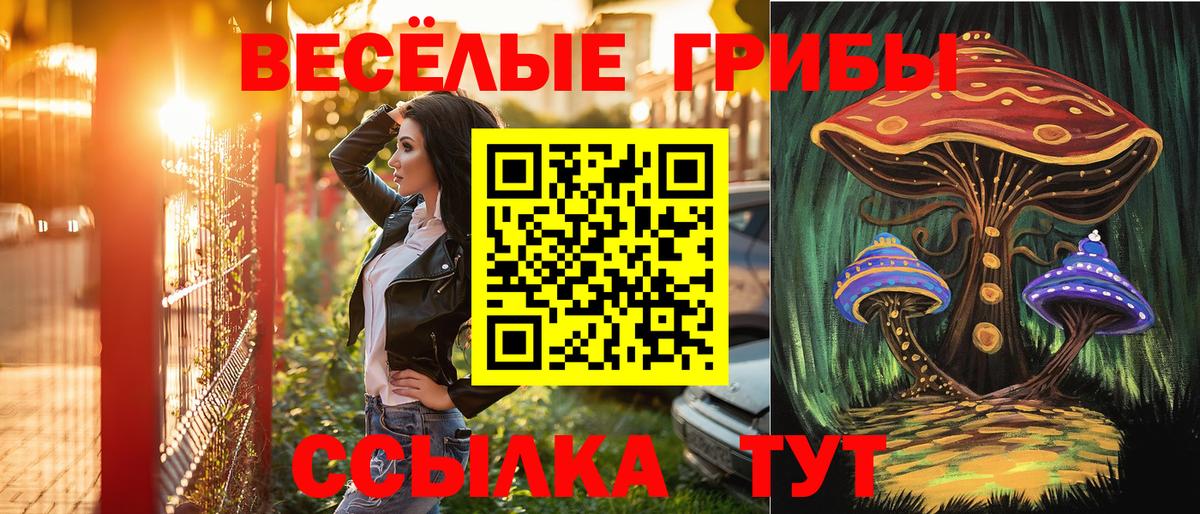 Галлюциногенные грибы MAGIC MUSHROOMS  Вход с VPN  закладки  Кропоткин 